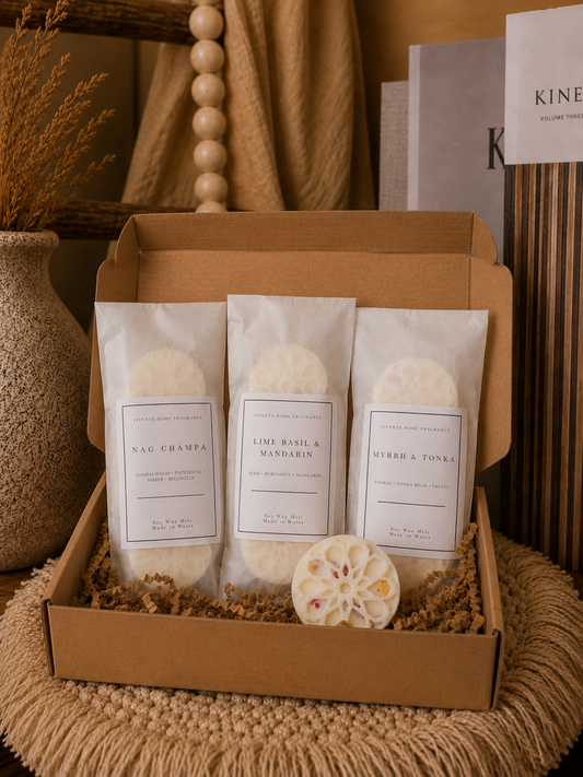 Discovery Melt Set - Pack of 3